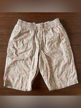 Jordan Mens Printed Retro Flamingos wearing J’s Shorts size 34 khaki